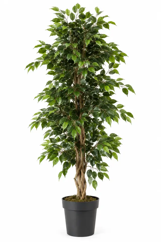 Plante artificiel